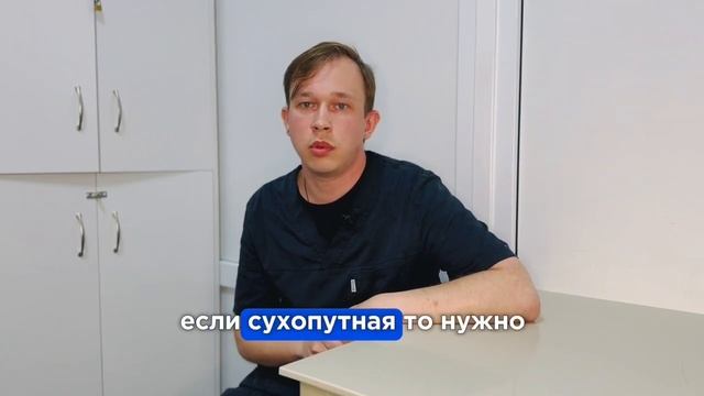 Идеальный домик для черепахи смотреть онлайн