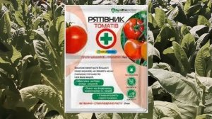 Табак "Спектр" — урожайный сорт! Полный обзор и секрет?