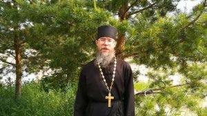 Сосновый Мед. Рецепты от Священника РПЦ. Дары Природы.