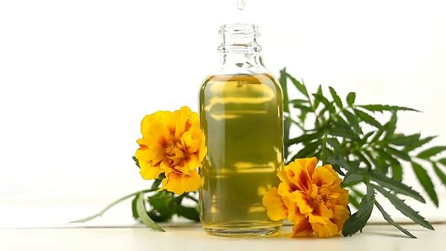 Что Делает БАРХАТЦЫ с Организмом ?! Многие даже не зна? смотреть онлайн