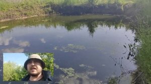 Садовый пруд на участке даче своими руками для развед?