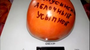 Томат Минусинский яблочный усыпной
