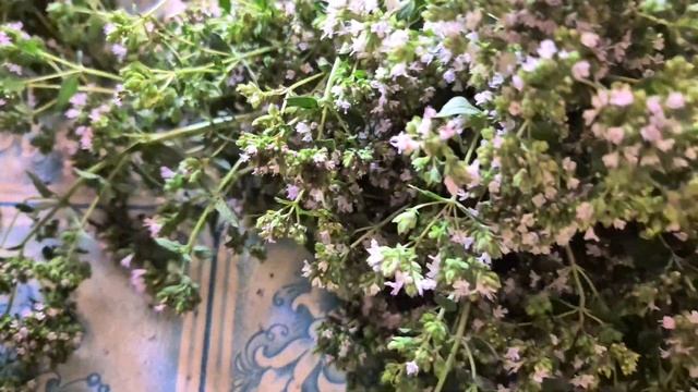 #травы #лечебныетравы #сушка #заготовка #зверобой #души смотреть онлайн