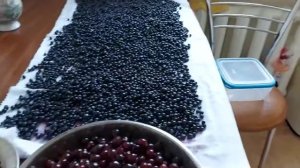 Заготовки на зиму.Черника и черная смородина.