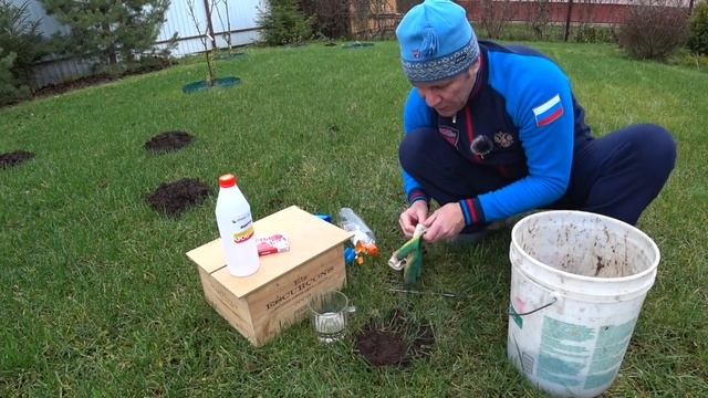 Борьба с кротами. Кроты на участке. Как бороться с крот