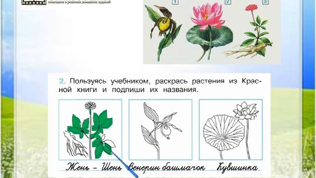 Задание 2 Красная книга - Окружающий мир 2 класс (Плешак смотреть онлайн