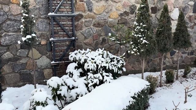 КАК ДЕРЖАТ СНЕГ СТРИЖЕННЫЕ РАСТЕНИЯ? НЕОЖИДАННАЯ ЗИМА смотреть онлайн