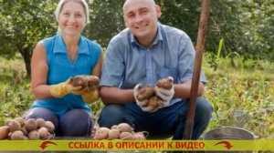 🔔 Чем засеять огород от сорняков весной ❕