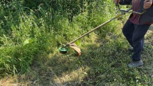 КАКАЯ НАСАДКА ЛУЧШЕ? ЧЕМ ЛУЧШЕ КОСИТЬ?