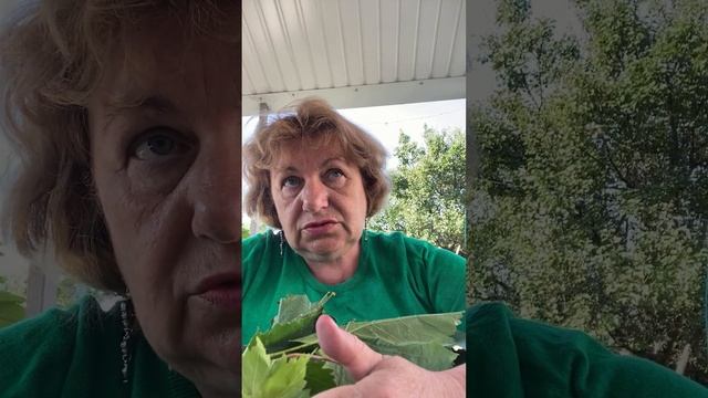 У каналі Марина Цветы відбувається прямий ефір. смотреть онлайн