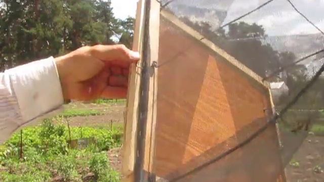 Роевня для пчел - за пару часов.