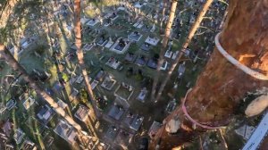 Как мы пилим деревья на кладбище, не повредив ничего в?