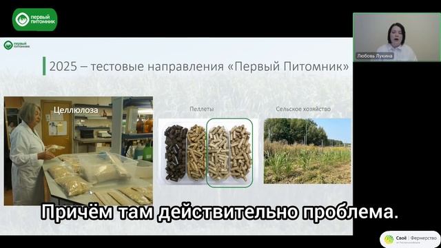 Мискантус Гигантский - кто и зачем выращивает культур? смотреть онлайн