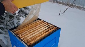 Хорошая зимовка пчел без влаги. Глухое дно и пленка .