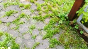 Садовая дорожка из спилов дерева Антистресс