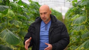 Вопрос №13. Высокие грядки. Плюсы и минусы.