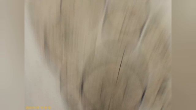 паркур в комнат глед бит 2023