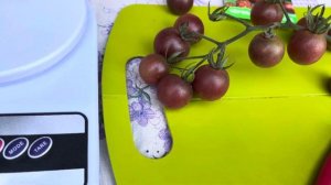 ТОМАТ  ЧЕРРИ « ЧЕРНЫЙ ШОКОЛАД»