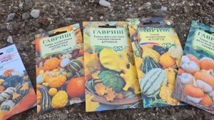 Строим беседку с мужем сами🌸| Сажаю необычный огород,