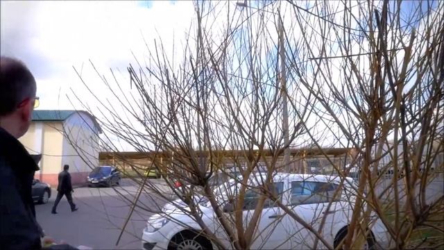 Высотный кусторез в работе смотреть онлайн