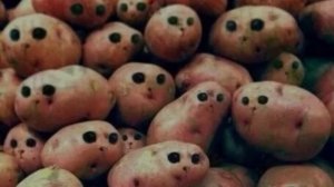 Арнольд Дырявые Глотки - Картофельные глазки