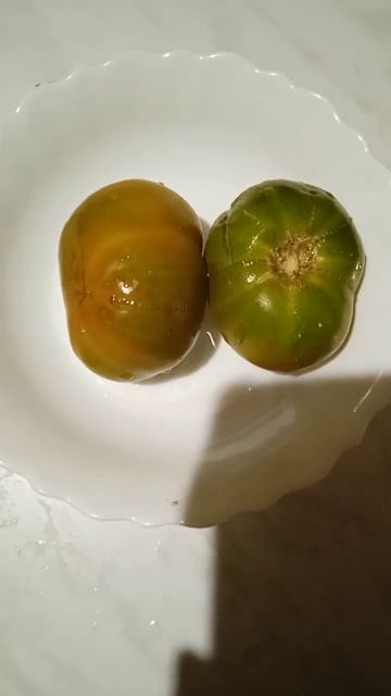 Самый лучший томат в мире 2023г.!Высокоурожайный и сладк