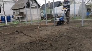 Учусь работать на электрокультиваторе