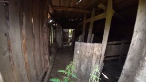 ЖИВЁТ ОДНА В ЗАБРОШЕННОЙ ДЕРЕВНЕ В ЛЕСУ. Страшно выход