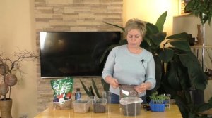 ПИКИРУЕМ ТОМАТЫ Подробная инструкция от Ларисы Заруб?