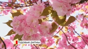 Сезонные изменения в жизни организмов 5 класс