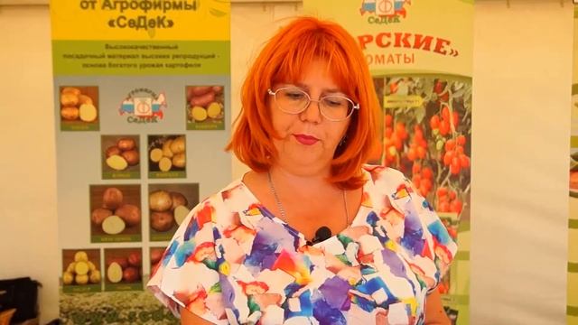 Лучшие овощи из семян компании СеДеК. Волгоградский о?