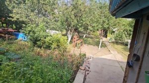 аккумуляторный триммер greenworks 40V 2Аh и 4Ah