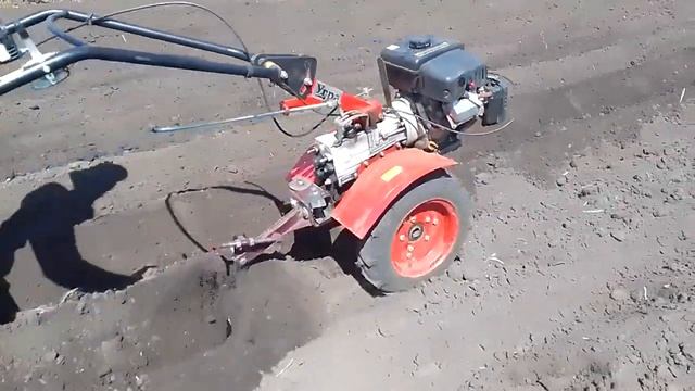 Посадка картофеля мотоблоком/Работа окучником одноря смотреть онлайн