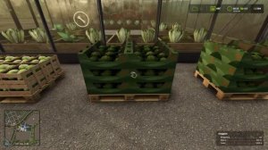 Farming Simulator 25 Уборка стручковой фасоли. Стрим. (№3)
