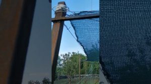 Установка опор и крепление затеняющей сетки в открыто