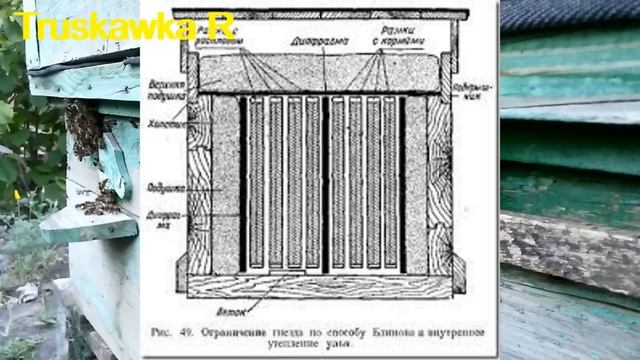#Пчёлы. Метод Блинова, для быстрого развития пчёл или н