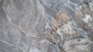 Как продают МЁД (Мед) в Китае