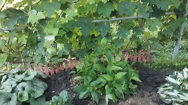 Переехали в Адыгею/Наша жизнь в станице Гиагинской/По? смотреть онлайн