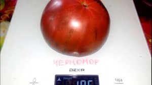 Томат Черномор
