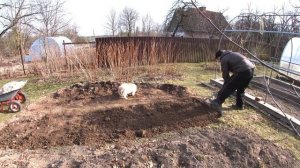 Грядка Хольцера. Тёплая грядка. Эксперимент.