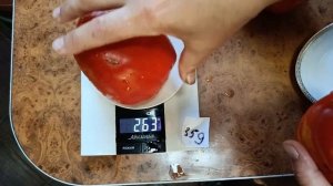 Томат Козье вымечко .Но скорее всего это Козий мешок