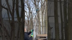 Высоторез(штанга) с сучкорезом-мини цепной пилой makita