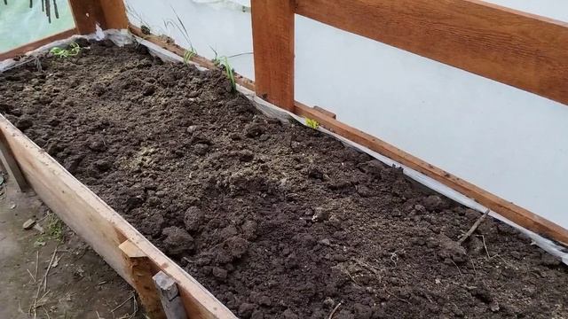 Осенняя обработка грядки после перца. смотреть онлайн