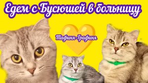 😻Едем с Бусюшей в больницу🚑/Интоксикации печени🤦♀/Как состояние после операции у Бусюши?🤔