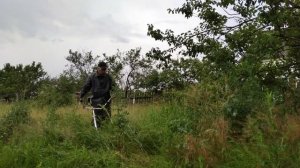 Аккумуляторный тример Procraft PTA40. Испытание в работе.