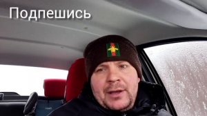 Можно ли удалять семядольные листочки на Томатах?