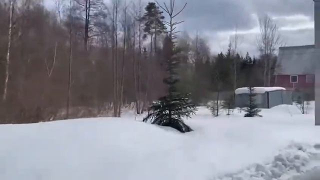 Просторный участок 12 соток с выходом в лес и хорошим п?