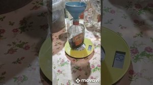 Как делать настойку  ПЖВМ  Огнёвка Восковой моли