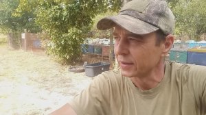 Эффективный рецепт от клеща Вароа