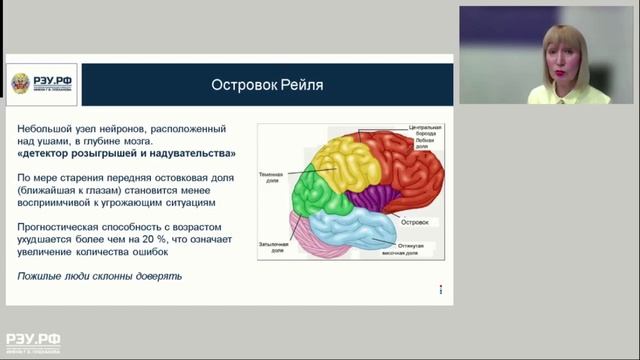 Мозг и принятие решений